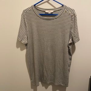 LOFT Plus Ribbed T-shirt